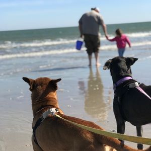 Meet your Posher, Robin